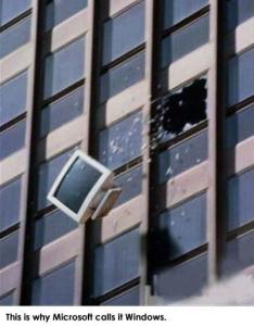 windows.jpg